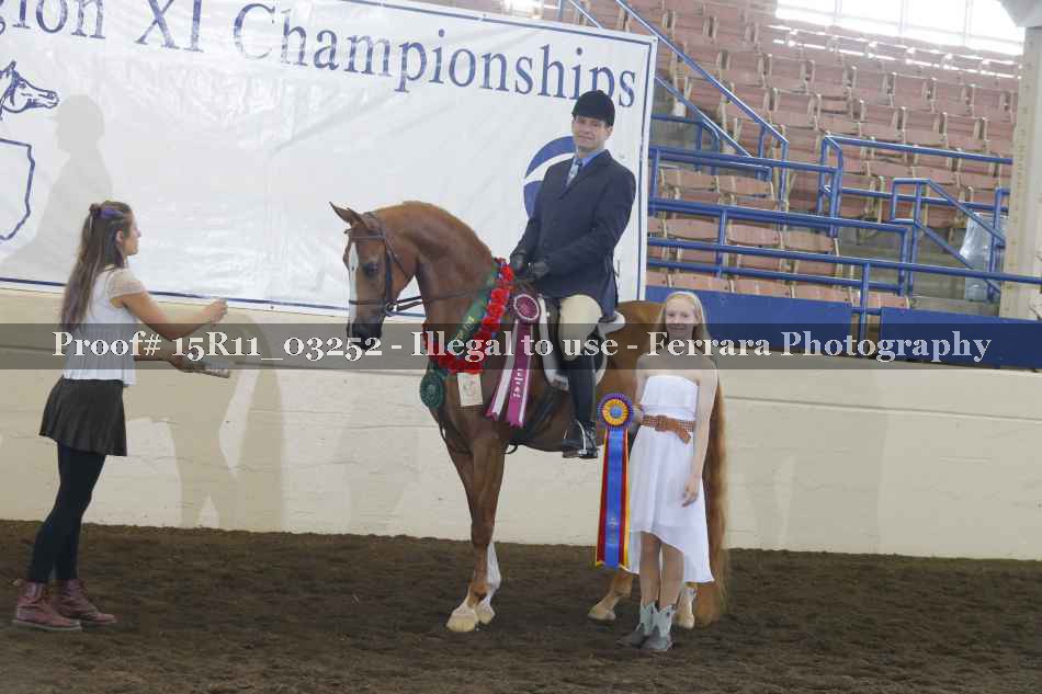 Proof Number 15R11_03252