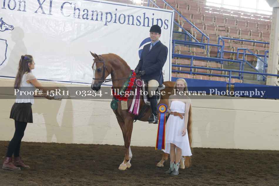 Proof Number 15R11_03254
