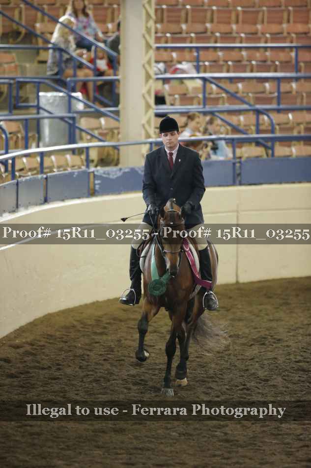 Proof Number 15R11_03255