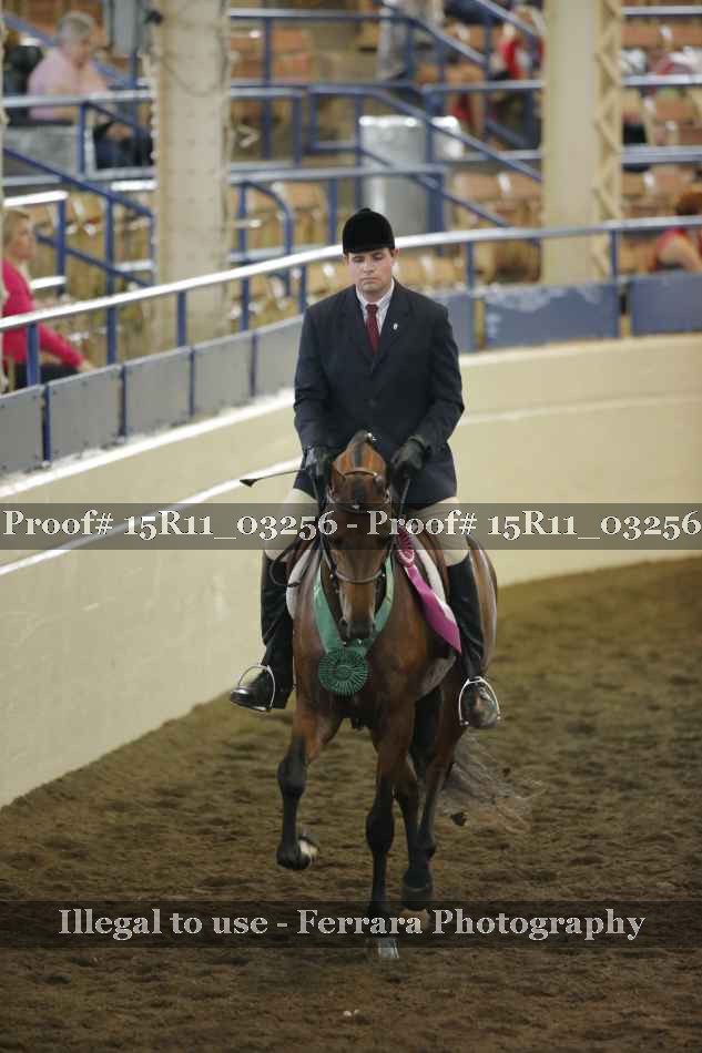 Proof Number 15R11_03256