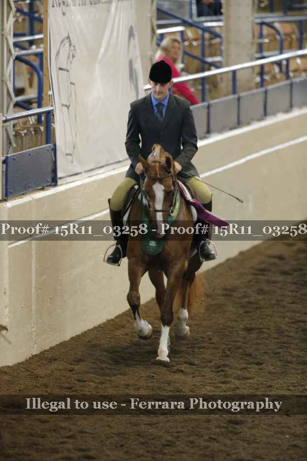 Proof Number 15R11_03258