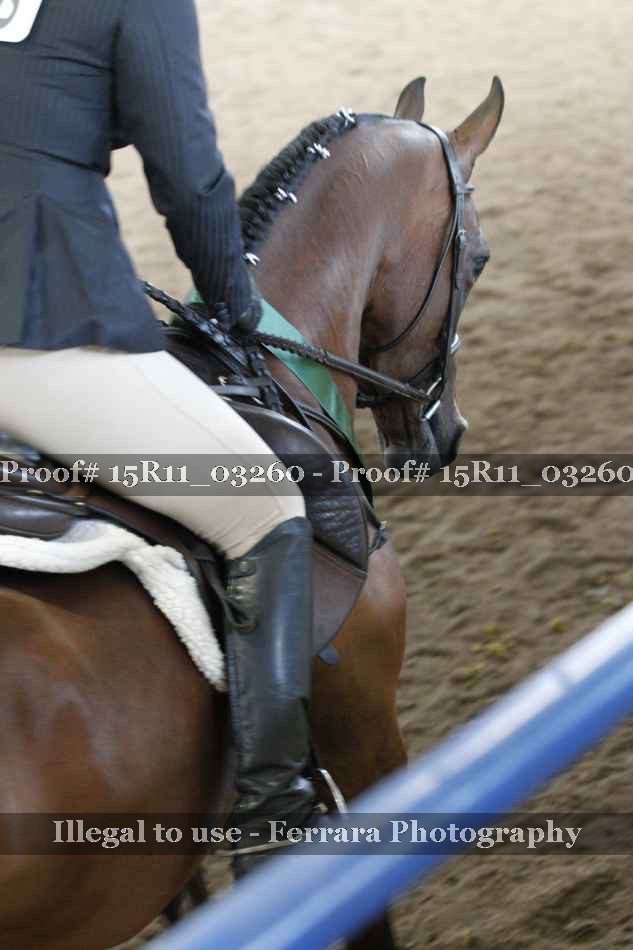 Proof Number 15R11_03260