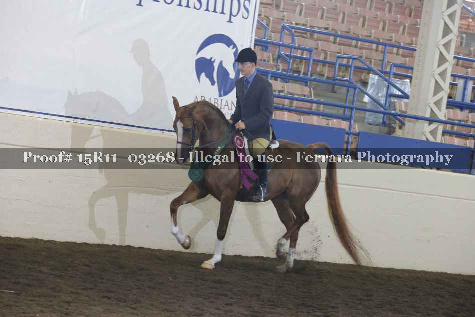 Proof Number 15R11_03268