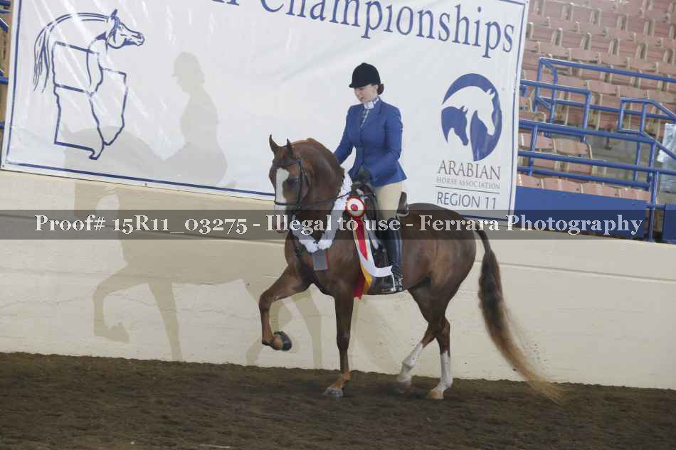 Proof Number 15R11_03275