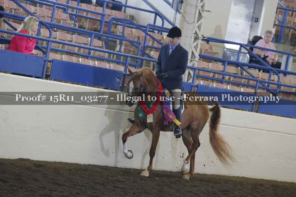 Proof Number 15R11_03277