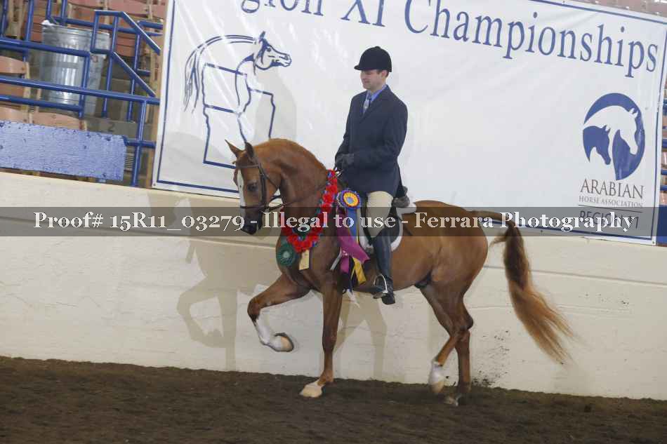 Proof Number 15R11_03279