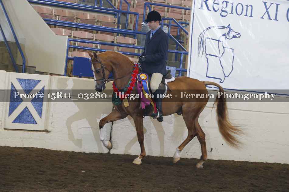 Proof Number 15R11_03280
