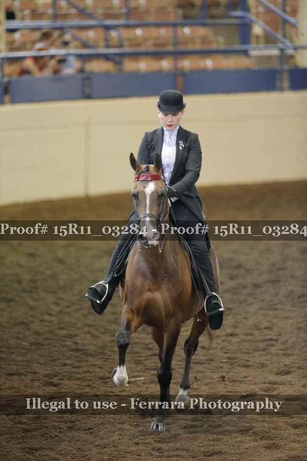 Proof Number 15R11_03284