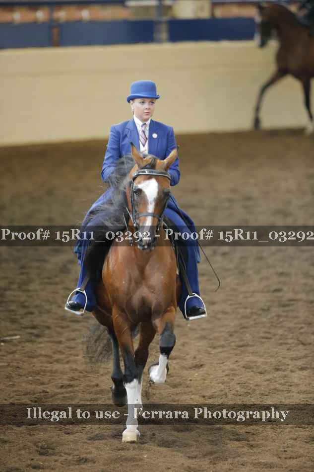 Proof Number 15R11_03292