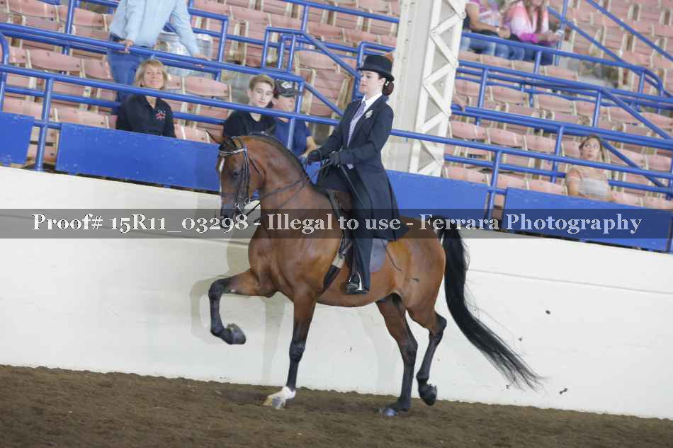 Proof Number 15R11_03298