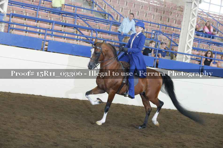 Proof Number 15R11_03306