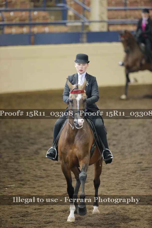 Proof Number 15R11_03308