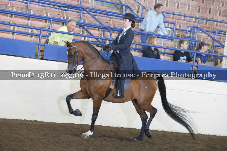 Proof Number 15R11_03309
