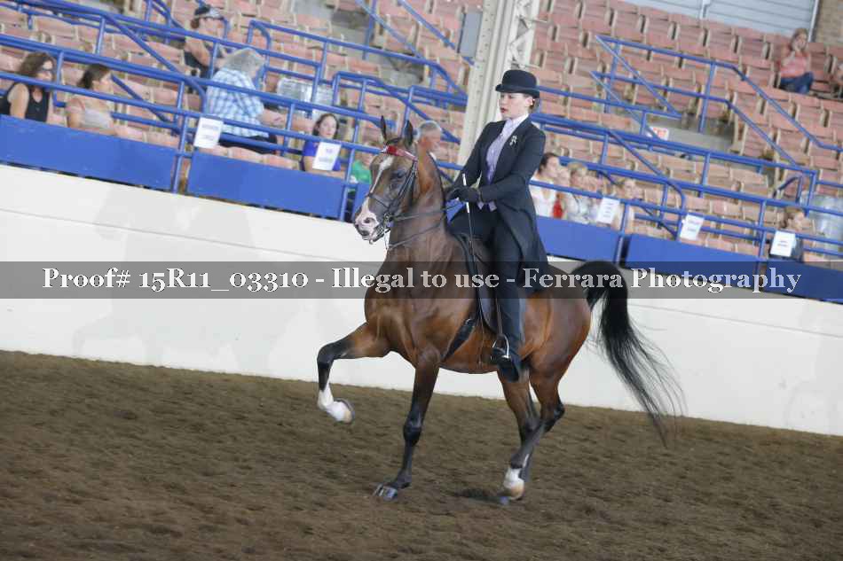 Proof Number 15R11_03310