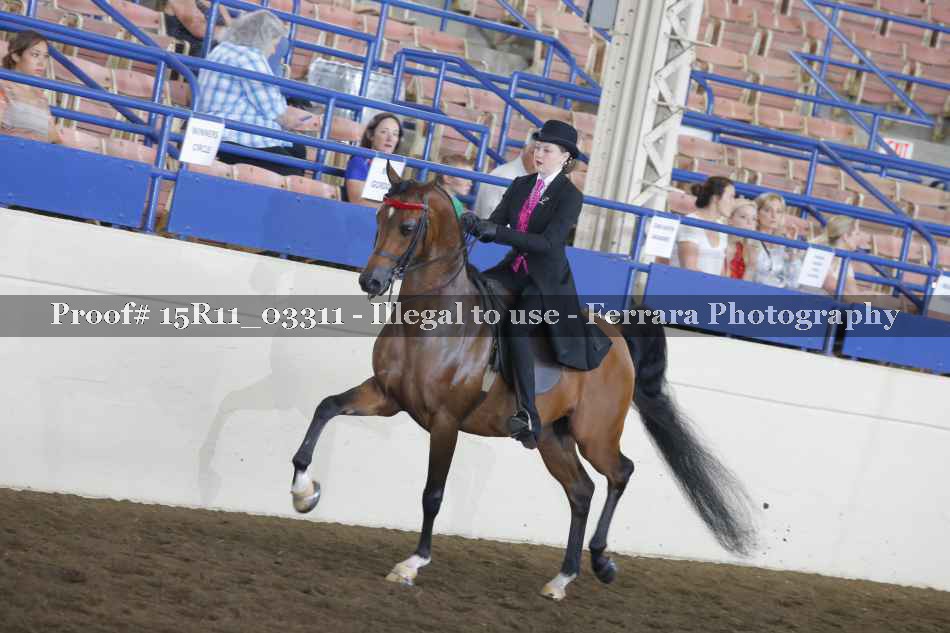 Proof Number 15R11_03311