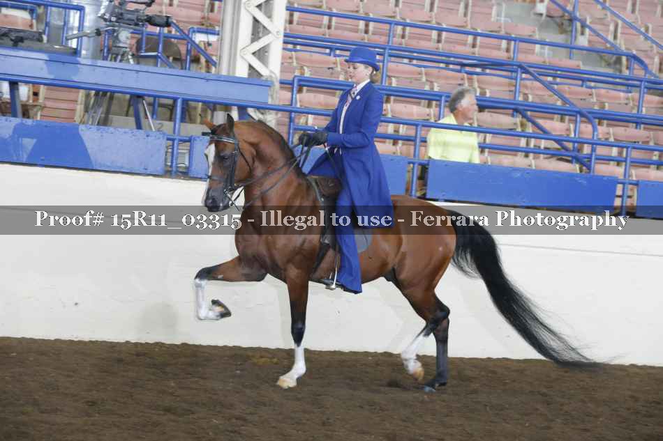 Proof Number 15R11_03315