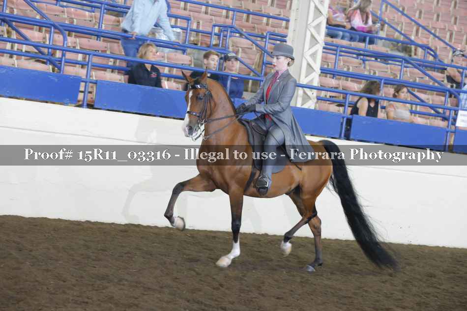 Proof Number 15R11_03316