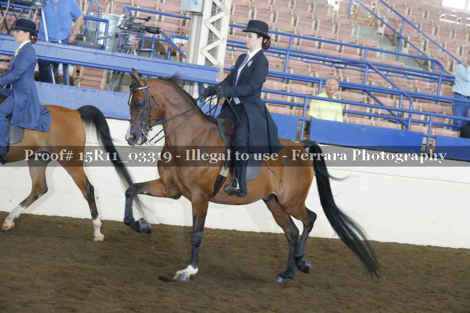 Proof Number 15R11_03319