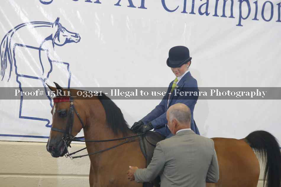 Proof Number 15R11_03321