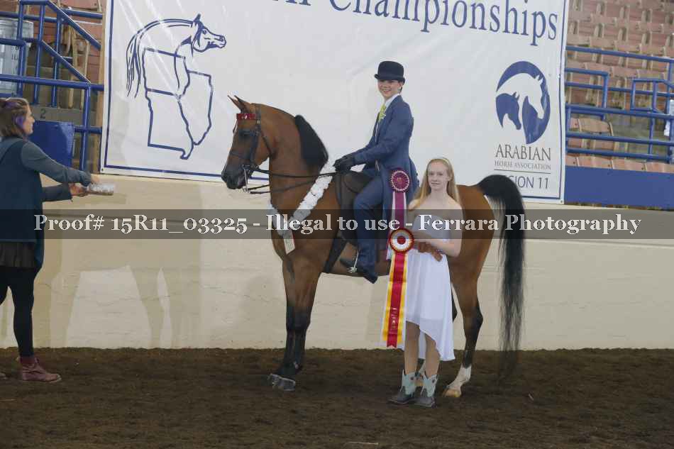 Proof Number 15R11_03325