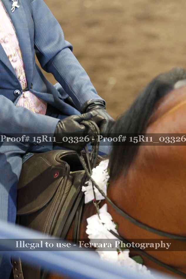 Proof Number 15R11_03326