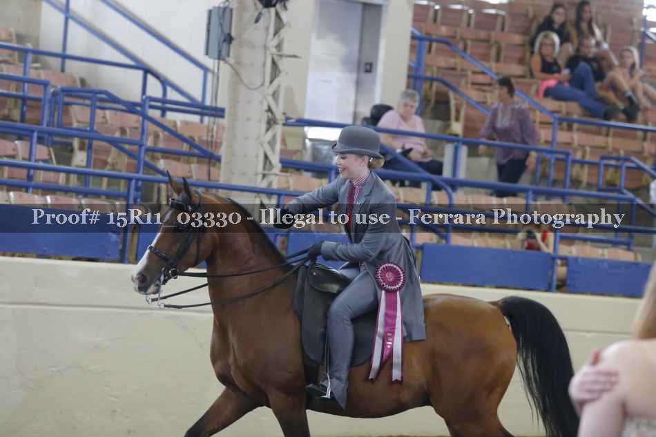 Proof Number 15R11_03330