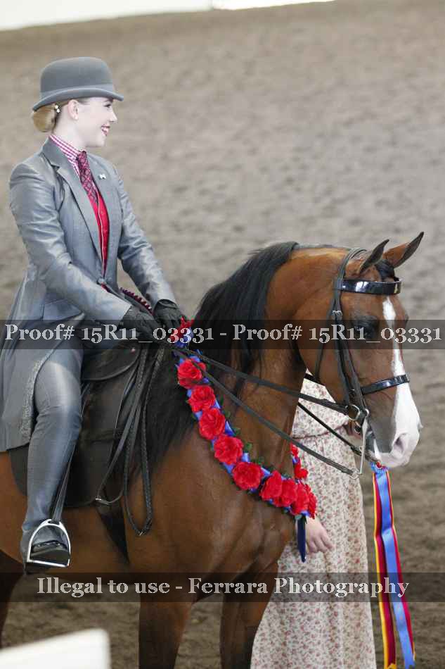 Proof Number 15R11_03331