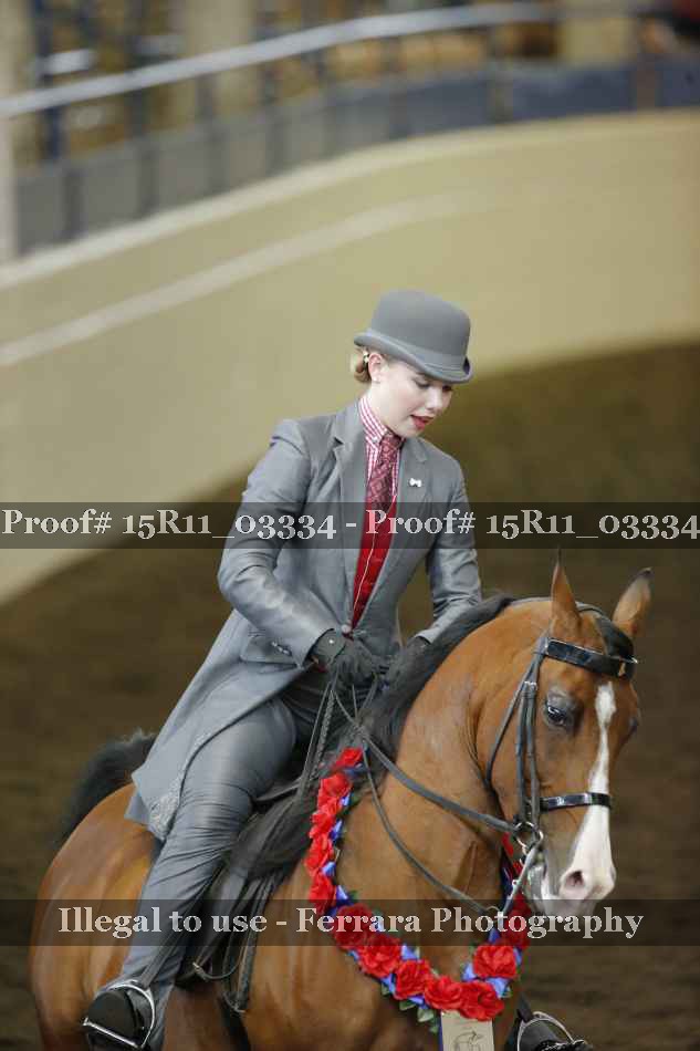Proof Number 15R11_03334