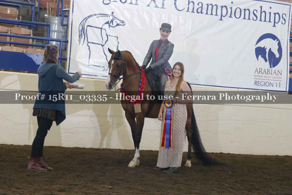 Proof Number 15R11_03335
