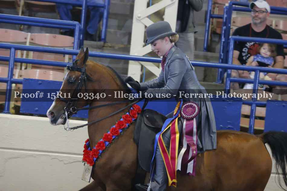 Proof Number 15R11_03340