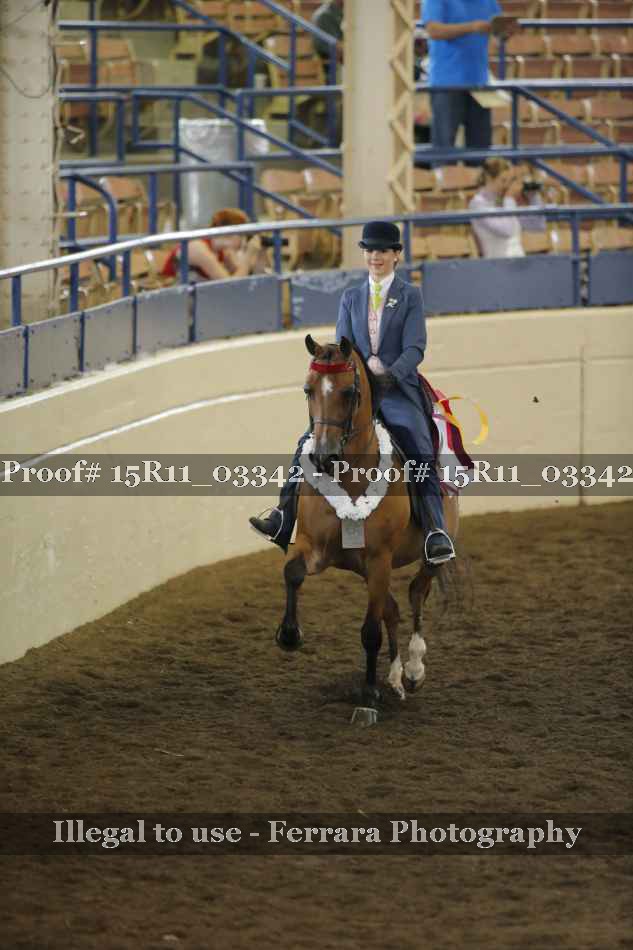 Proof Number 15R11_03342