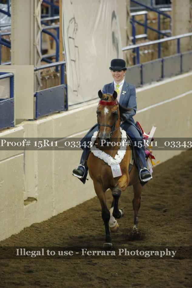 Proof Number 15R11_03343
