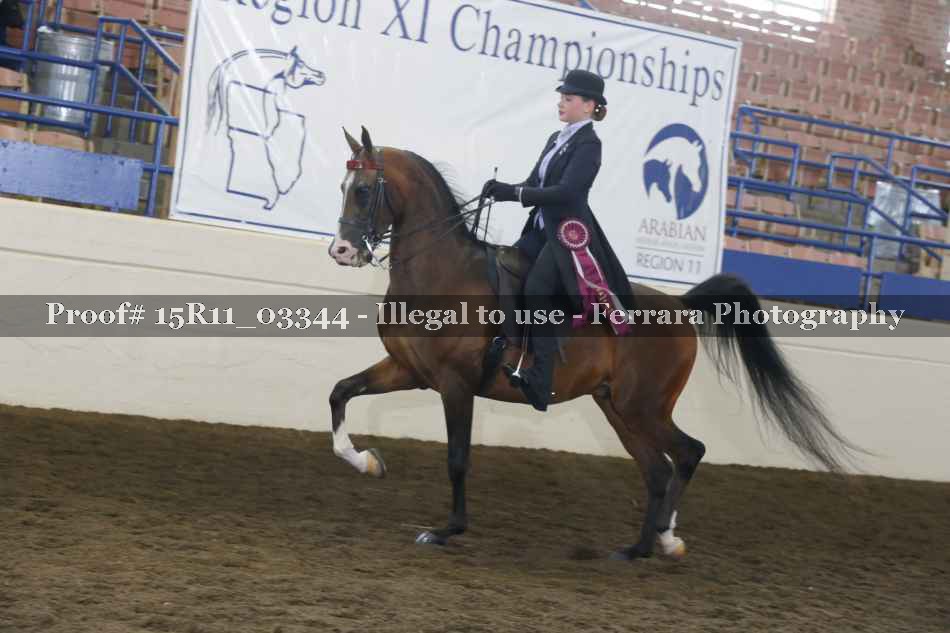 Proof Number 15R11_03344