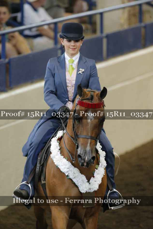 Proof Number 15R11_03347
