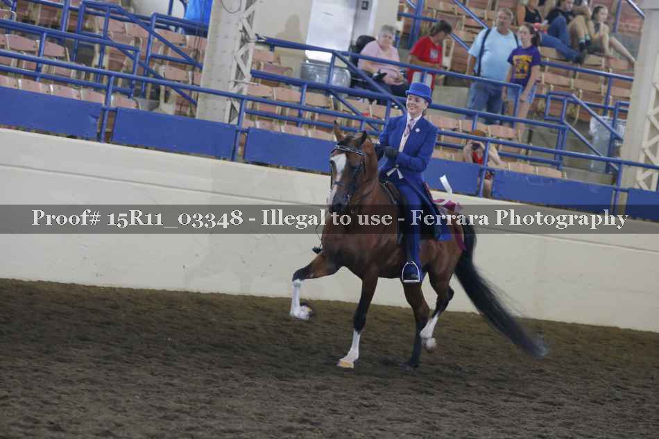 Proof Number 15R11_03348