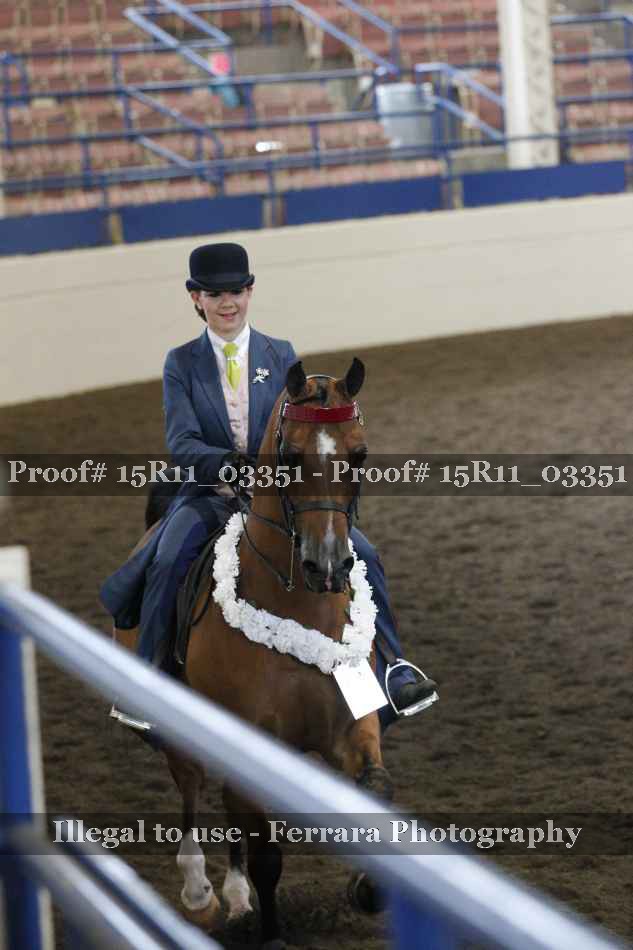 Proof Number 15R11_03351