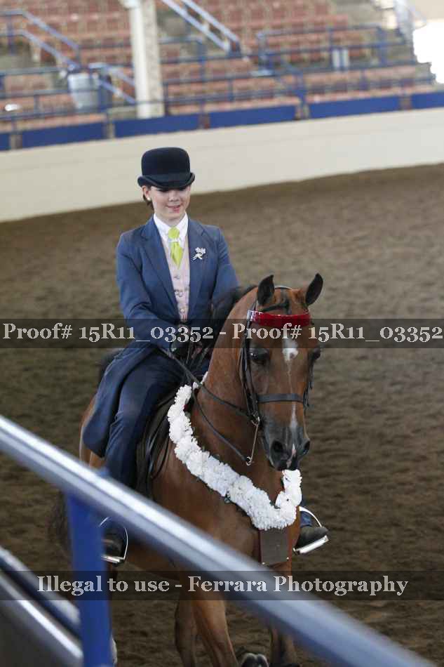 Proof Number 15R11_03352