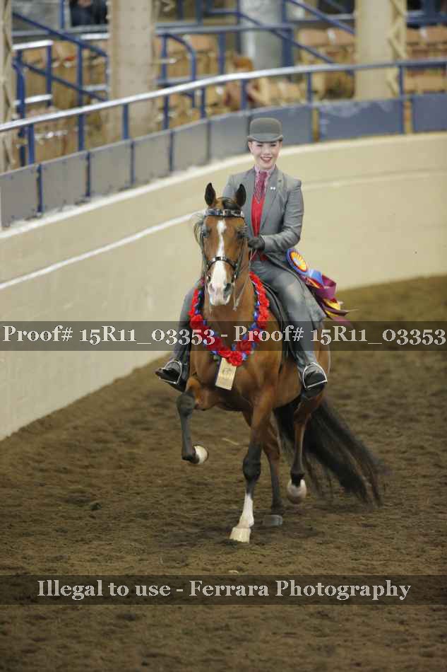 Proof Number 15R11_03353