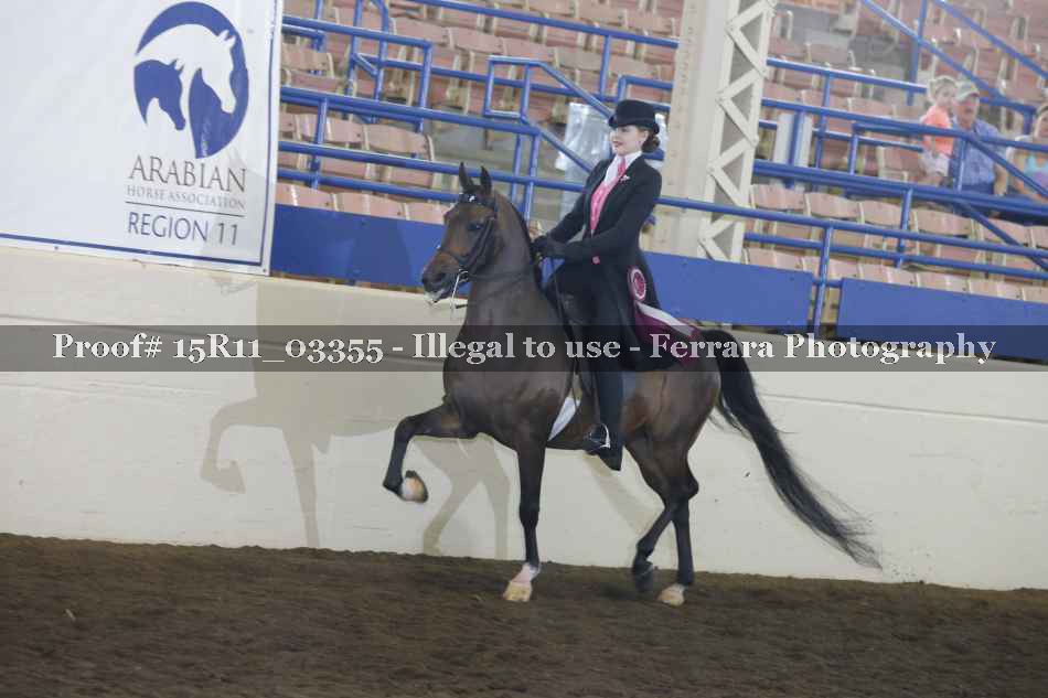 Proof Number 15R11_03355