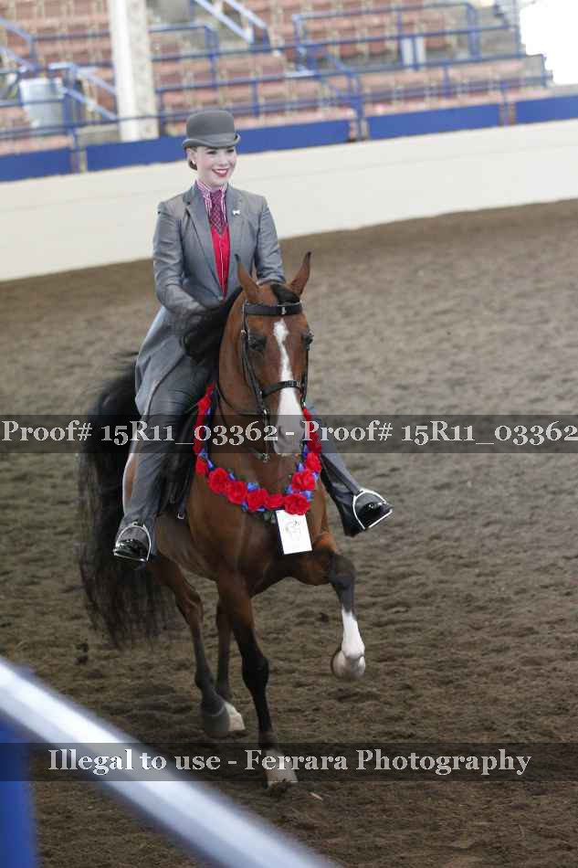 Proof Number 15R11_03362