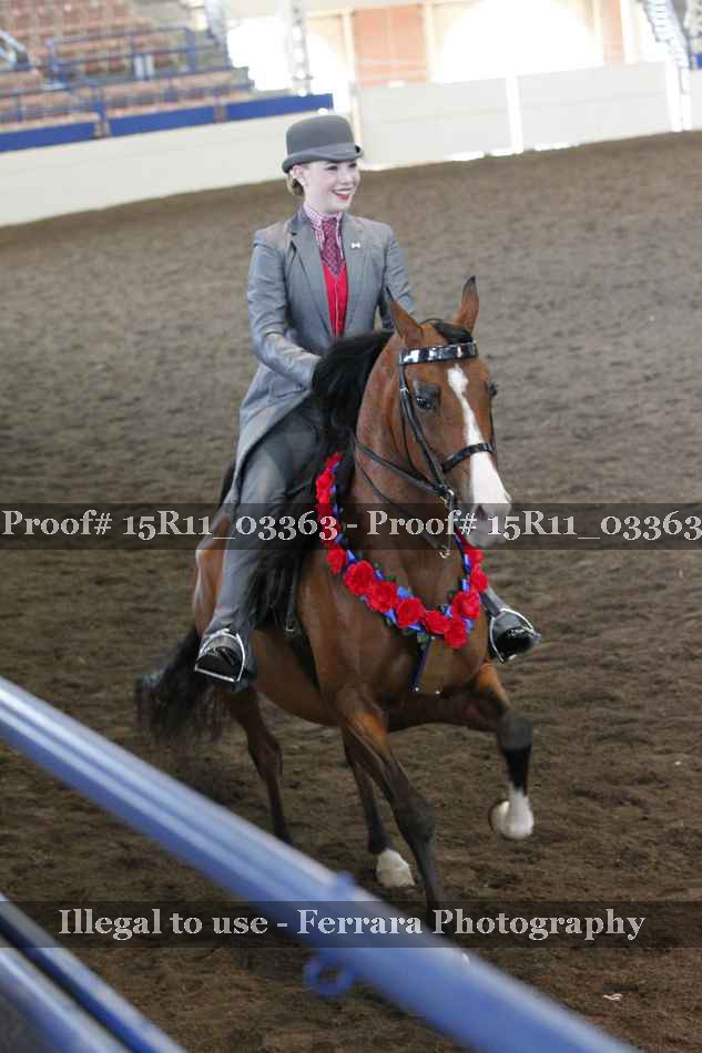 Proof Number 15R11_03363
