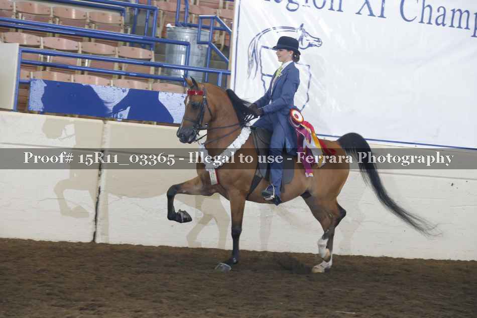 Proof Number 15R11_03365