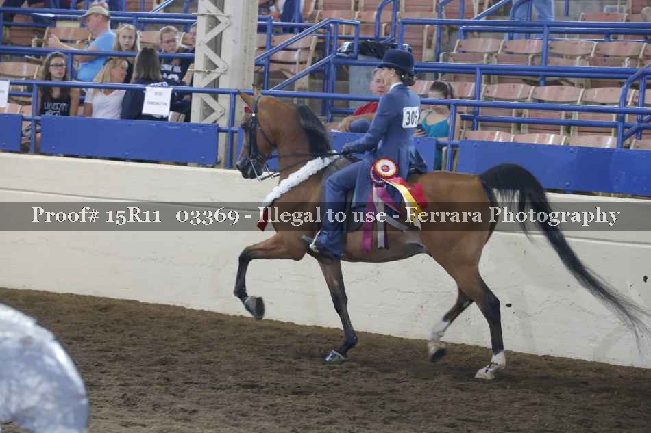 Proof Number 15R11_03369