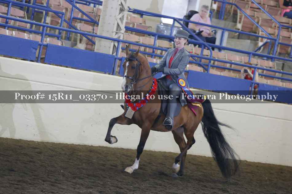 Proof Number 15R11_03370