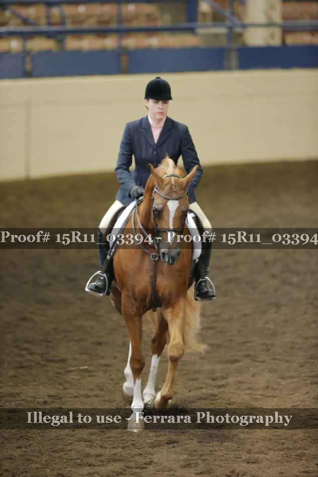 Proof Number 15R11_03394