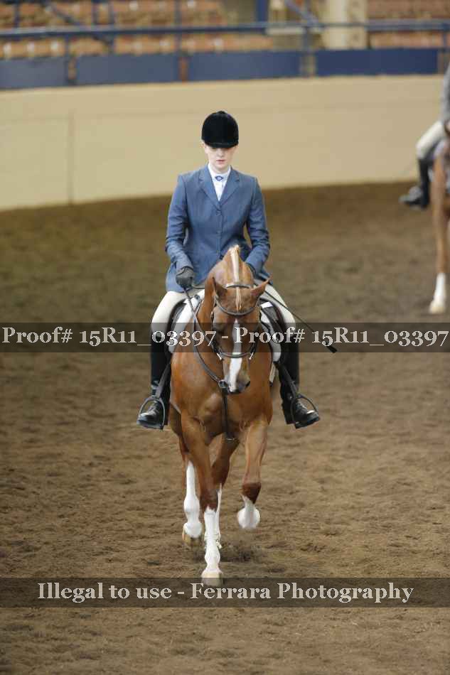 Proof Number 15R11_03397
