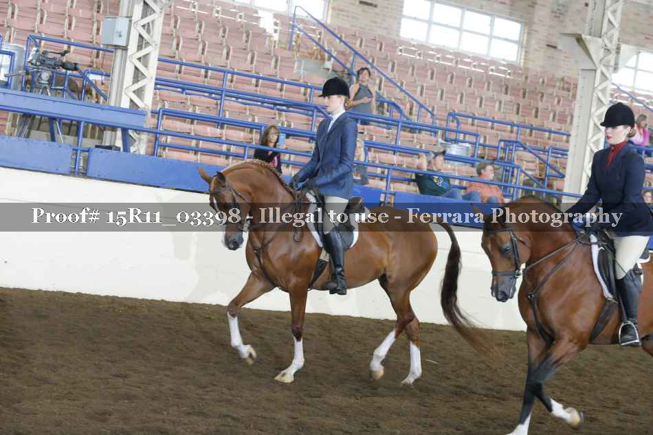 Proof Number 15R11_03398