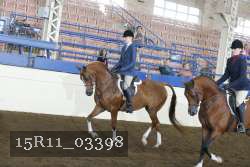 15R11_03398 thumbnail