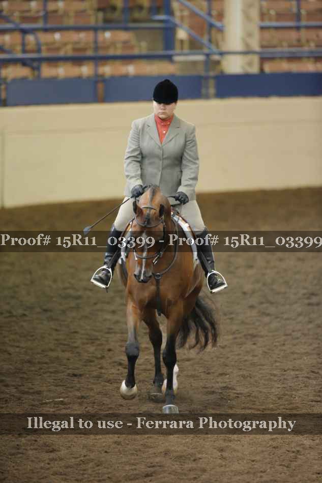 Proof Number 15R11_03399