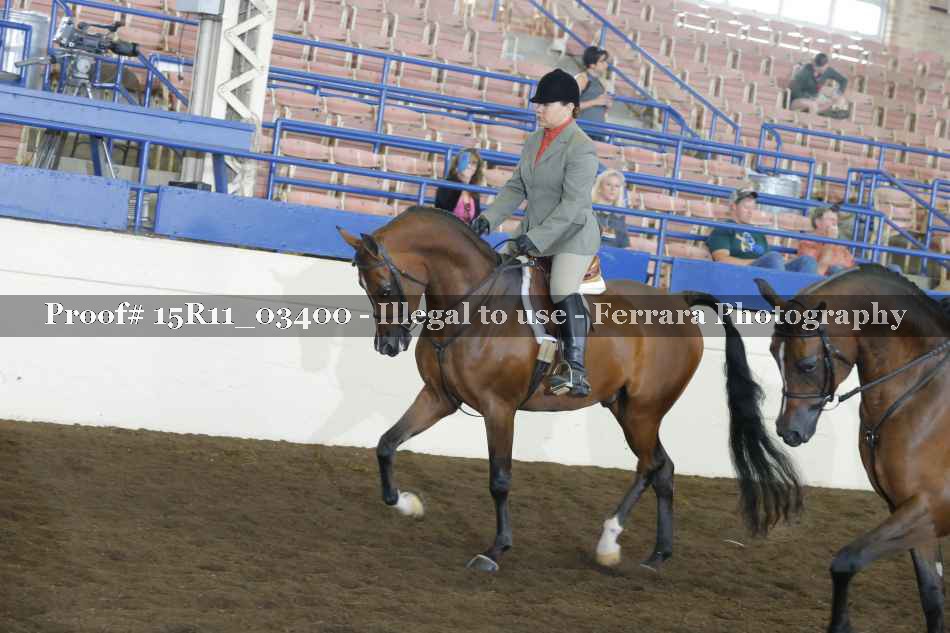 Proof Number 15R11_03400